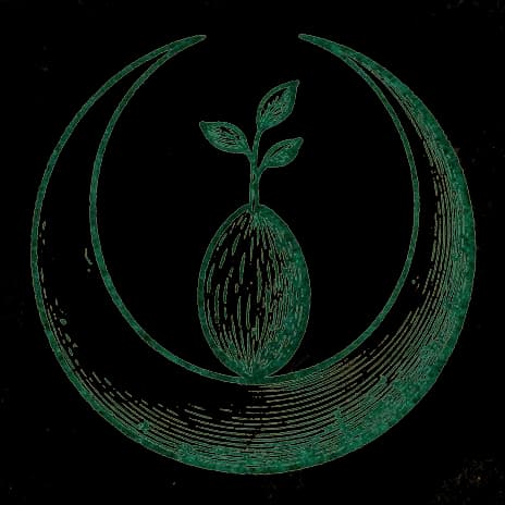 An engraved almanac emblem for dreaming of Pregnant